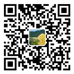 全民炸翻天